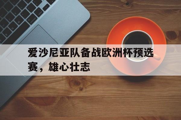 包含爱沙尼亚队备战欧洲杯预选赛，雄心壮志的词条